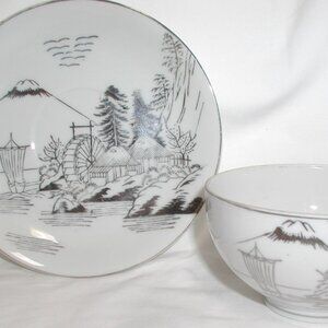 Kutani Lithophane Cup and Saucer